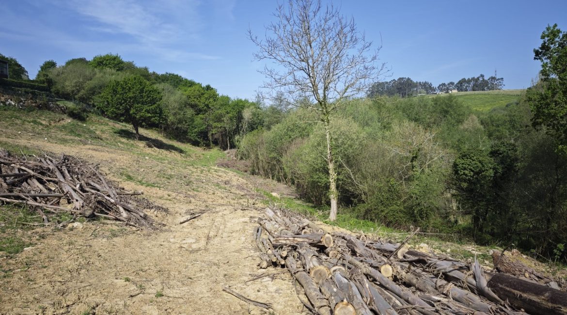 Terreno rústico en Oruña de Piélagos