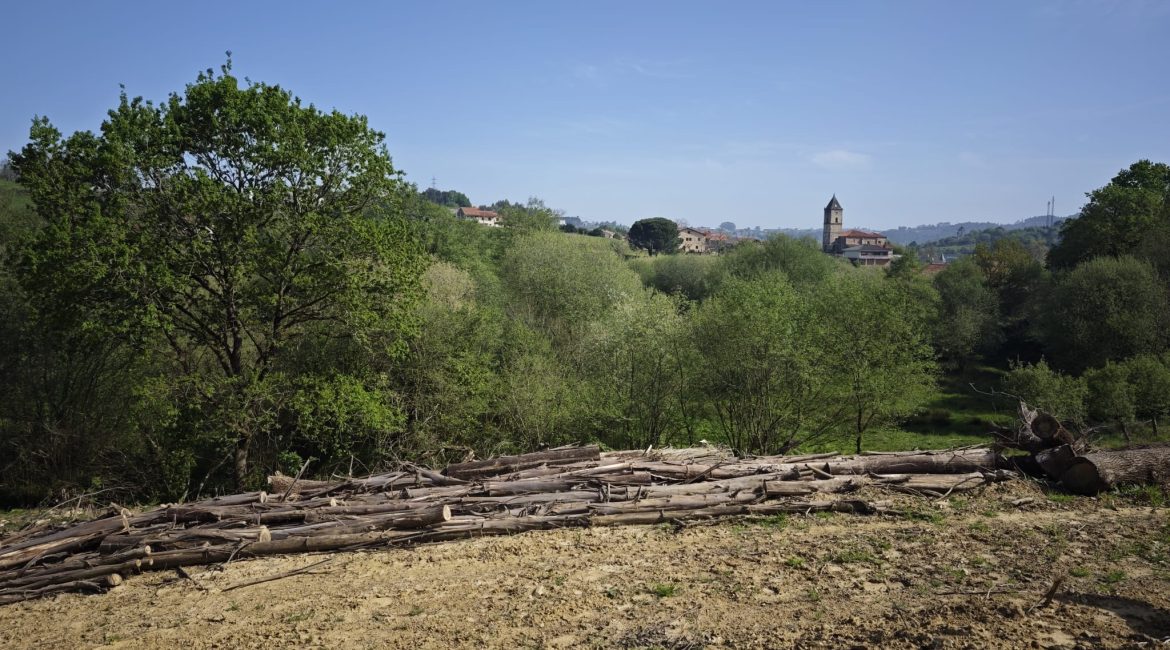 Terreno rústico en Oruña de Piélagos