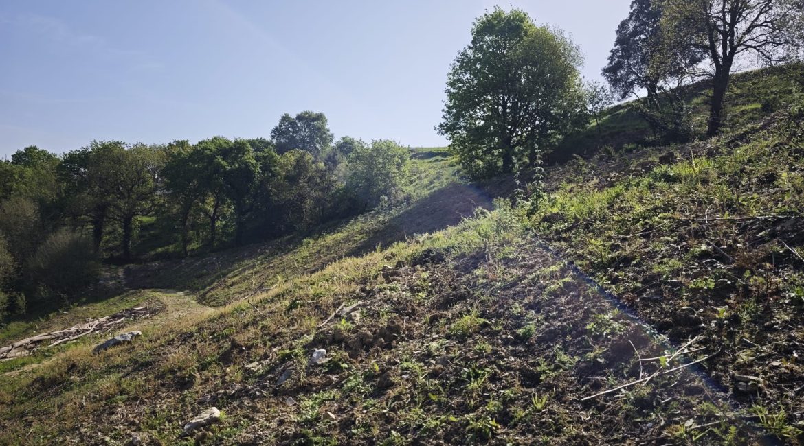 Terreno rústico en Oruña de Piélagos